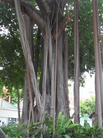 baum mit dünner verastung