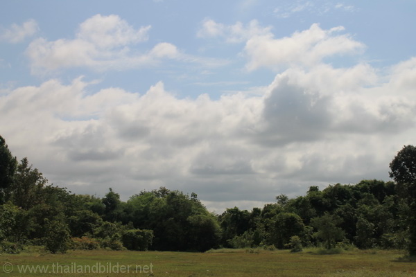 Landschaft Wolken und büsche